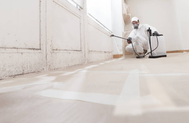 24/7 Emergency Mold Cleanup experts in Springfield, CO